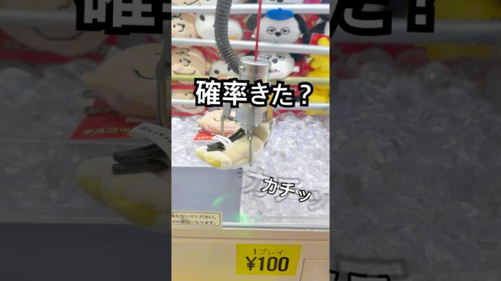 結局確率機？取れる気がしてやってみた#クレーンゲーム#UFOキャッチャー#ゲームセンター#景品