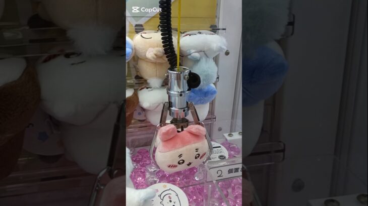 【ちい活！クレーンゲーム】ちいかわ寝そべり～カニちゃん踊る～💖#ちいかわ#クレーンゲーム#カニちゃん#ぬいぐるみ#グッズ#最新#攻略#UFOキャッチャー#ねそべりマスコット#吉伊卡哇#娃娃机#声#登場