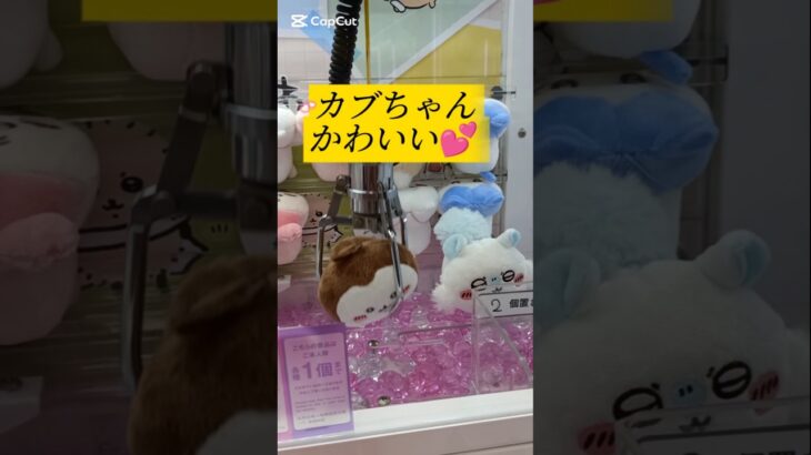 【完売間近！クレーンゲーム】ちいかわ寝そべり～かぶちゃん～💖　#ちいかわ#クレーンゲーム#かぶとむし#ぬいぐるみ#グッズ#最新#攻略#UFOキャッチャー#ねそべりマスコット#吉伊卡哇#娃娃机#かわいい