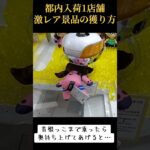 #UFOキャッチャー #ゲーセン #攻略 #クレーンゲーム #確率機 #確率無視 #エヴァンゲリオン #マリ #真希波・マリ・イラストリアス  クレーン ゲーム  TikTok