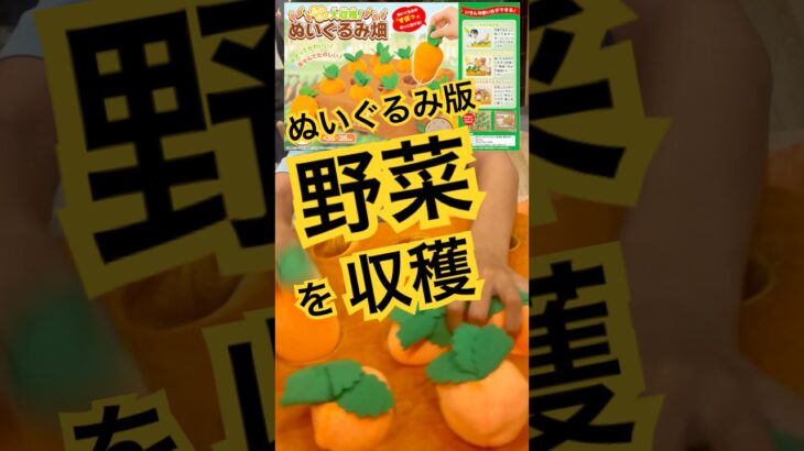 【コツ教えます】ぬいぐるみ畑で野菜を収穫 #クレーンゲーム #UFOキャッチャー #shorts