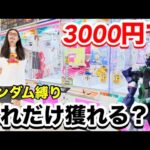 【UFOキャッチャー】3000円でどれだけ景品が獲れるのかやってみた【お宝発見一宮店】