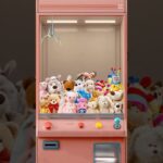 UFOキャッチャーでかわいいものゲットした‼️#UFOキャッチャー　　#クレーンゲーム