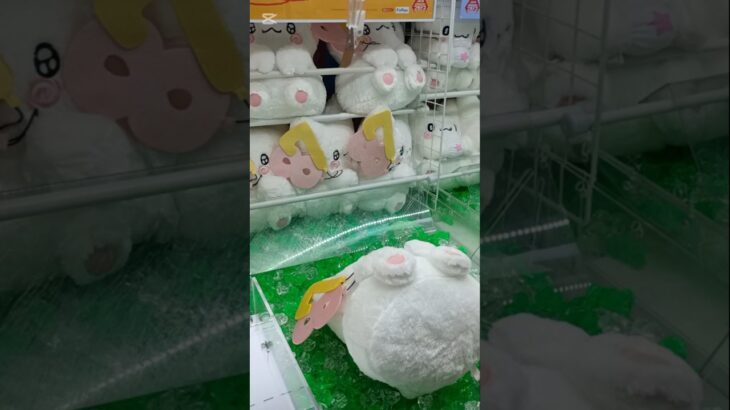 【速報！クレーンゲーム】はなまるおばけ誕生日を祝おう💛　　#はなまるおばけ#クレーンゲーム#攻略法#UFOキャッチャーコツ#グッズ#サンリオ#sanrio#ぬいぐるみ