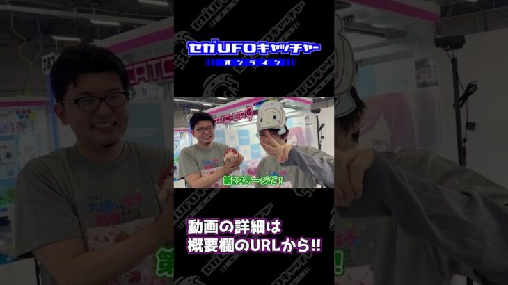 漫画エンジェルネコオカ管理人と３本勝負‼【セガUFOキャッチャーオンライン】#shorts