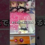 どうしても欲しい景品がある日のクレーンゲーム #クレーンゲーム #ゲームセンター #ゲーセン #arcade #ufoキャッチャー #clawmachine #夾娃娃機 #遊戯王 #JOJO