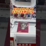 【攻略】 どうしてちゃんがどうしても欲しい#clawmachine #japaneseclawmachine #ufoキャッチャー #クレーンゲーム #日本夾娃娃