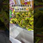 【クイズ】全部でなんこ取れるかな？#crane #クレーンゲーム #クレーンゲーム攻略 #ゲームセンター #ゲーセン #ufoキャッチャー #こども