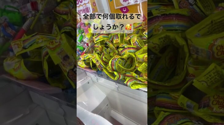 【クイズ】全部でなんこ取れるかな？#crane #クレーンゲーム #クレーンゲーム攻略 #ゲームセンター #ゲーセン #ufoキャッチャー #こども