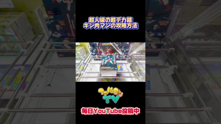 超人級の超デカ箱キン肉マン攻略方法！クレーンゲームプライズフィギュア攻略！#cranemachine  #クレーンゲーム #ゲーセン #clawmachine #UFOキャッチャー