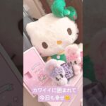クレーンゲームで心を満たします サンリオとestherbunny