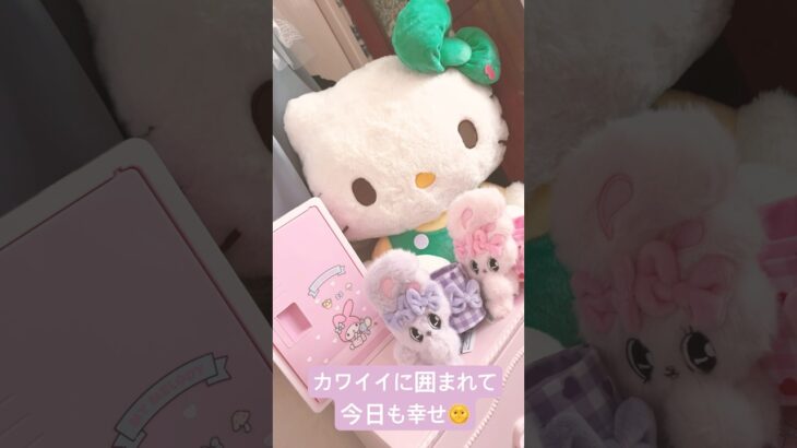 クレーンゲームで心を満たします サンリオとestherbunny