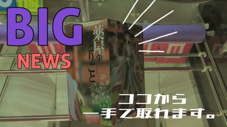 【刺し回し】ココから一手で。八王子のお店　#薬屋のひとりごと 　#猫猫　#hunterxhunter　#ゴン　#クレーンゲーム #clawmachine