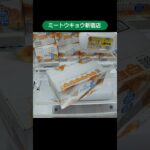 ミートウキョウ新宿店のクレーンゲームでクロワッサンとかにぱんをゲット #shorts