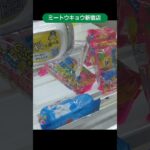 ミートウキョウ新宿店のクレーンゲームでタワー台の景品を６個ゲット #shorts