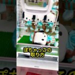 【ポチャッコ攻略‼︎】#shorts #ufoキャッチャー #クレーンゲーム