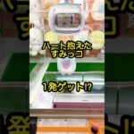 【すみっこ乱獲の裏ワザ】#shorts #ufoキャッチャー #クレーンゲーム