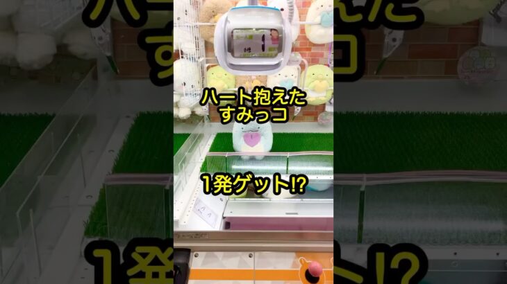 【すみっこ乱獲の裏ワザ】#shorts #ufoキャッチャー #クレーンゲーム