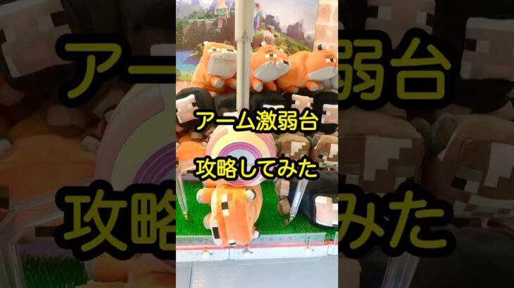 【激弱台の攻略法】#shorts #ufoキャッチャー #クレーンゲーム