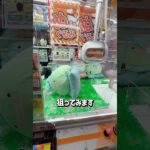 土日のゲーセンならハイエナできる説を検証してみた #クレーンゲーム #shorts  #クレーンゲーム #ufoキャッチャー#ゲーセン #ゲームセンター  #arcade #clawmachine