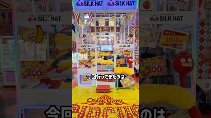 日本一ぬいぐるみが取れる店舗を見つけてしまいました。#クレーンゲーム #shorts  #クレーンゲーム #ufoキャッチャー#ゲーセン #ゲームセンター  #arcade #clawmachine