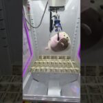 ぶるぶるネコを捕まえろ!?#shorts #クレーンゲーム #ufoキャッチャー #ゲーセン #clawmachine #arcade #funny #tiktok#自宅 #ネタ