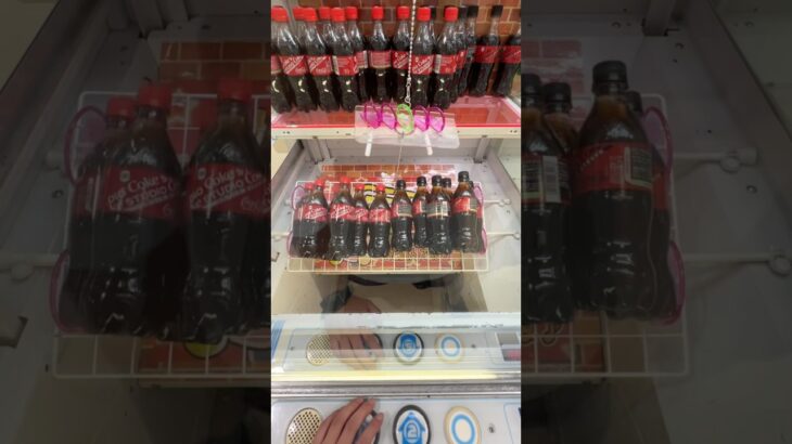 取りすぎちゃってごめんなさい#shorts #クレーンゲーム #ufoキャッチャー #ゲーセン #clawmachine #arcade #funny #tiktok