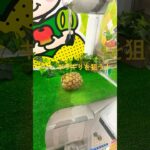 クレーンゲームにパイナップル？まさかの大物ゲット#shorts #クレーンゲーム #ufoキャッチャー #ゲームセンター #やさい #food#攻略法