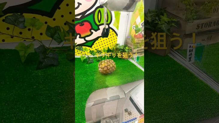 クレーンゲームにパイナップル？まさかの大物ゲット#shorts #クレーンゲーム #ufoキャッチャー #ゲームセンター #やさい #food#攻略法
