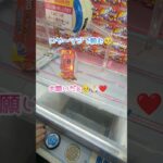 【ペカペカッ】※皆さんは真似しないでください。ガチでギリギリの戦い。#shorts#クレーンゲーム#ゲーセン#コツ#お菓子#攻略#スロット#ぬいぐるみ#3本爪#ちいかわ#ジャグラー