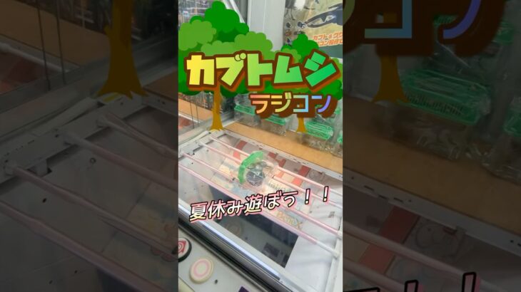 【かぶとむしラジコン】今年も”ぼくのなつやすみ”がはじまりました！！#shorts#クレーンゲーム#ゲーセン#コツ#お菓子#攻略#ちいかわ#ぬいぐるみ#3本爪#確率無視#飛んで火にいる夏の虫#花火