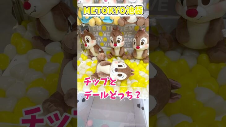 チップとデールこれどっち？！🧸#クレーンゲーム攻略#ミニクレーンゲーム#クレーンゲームぬいぐるみ  #shortvideo #クレーンゲーム #shots
