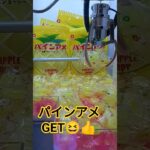 これ取れるよ🍍 #クレーンゲーム #クレーンゲーム景品 #ゲームセンター #クレーンゲーム攻略 #ufoキャッチャー #ミニクレーンゲーム #ショート #パインアメ
