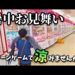 【クレーンゲーム】暑さ吹き飛ぶ!?少年がゲームセンターから暑中見舞い申し上げます【ufoキャッチャー 回遊館】