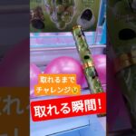 思ったよりあっさり🤭 #クレーンゲーム #クレーンゲーム景品 #ゲームセンター #クレーンゲーム攻略 #ufoキャッチャー #ゲーセン #シャインマスカットボンボン