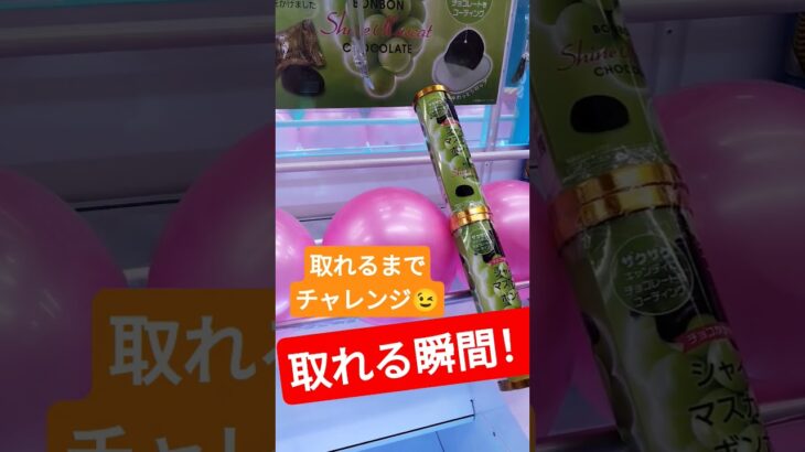 思ったよりあっさり🤭 #クレーンゲーム #クレーンゲーム景品 #ゲームセンター #クレーンゲーム攻略 #ufoキャッチャー #ゲーセン #シャインマスカットボンボン