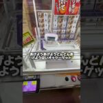#クレーンゲーム #ゲームセンター #ufoキャッチャー 登録すると景品取るよ！