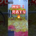 この取り方すごない？😆 #クレーンゲーム #クレーンゲーム景品 #ゲームセンター #クレーンゲーム攻略 #ufoキャッチャー #ミニクレーンゲーム #ショート #パインアメ