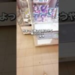 みんなはどんなペット飼ってるかコメントしてね✨️#クレーンゲーム #クレーンゲーム攻略 #ufoキャッチャー #確率無視 #出禁 #モフサンド