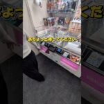 女性も胸が大っきい子のフィギュア欲しいみたい☺#クレーンゲーム #ufoキャッチャー #ゲームセンター #クレーンゲーム攻略