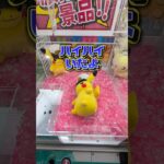 ピカチュウの人気ってなんでこんなに凄いん？！💦#クレーンゲーム #ufoキャッチャー #ゲームセンター #クレーンゲーム攻略  #確率無視