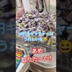 あめ何個取れるかな？🥰 #クレーンゲーム #クレーンゲーム景品 #ゲームセンター #クレーンゲーム攻略 #ufoキャッチャー #ミニクレーンゲーム #ショート