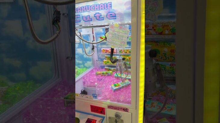 ぷっちょゲット #ゲームセンター #クレーンゲーム #ゲーセン #お菓子好き #ufoキャッチャー #ガチャガチャ #ショート動画 #攻略