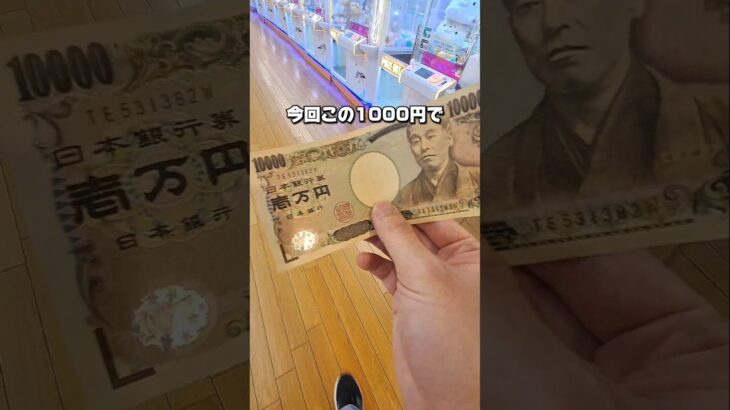 【 クレーンゲーム 】千円チャレンジ！謎橋渡し攻略できる？#クレーンゲーム#ufoキャッチャー #ゲームセンター