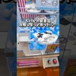 ちいかわ新景品狙ったらまさかの展開！#クレーンゲーム#ufoキャッチャー  #ゲームセンター