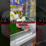 タグ掛けチャレンジ成功しても取れない景品多々あります #クレーンゲーム #プライズ獲得 #ゲームセンター #ゲーセン #ufoキャッチャー #ぬいぐるみ