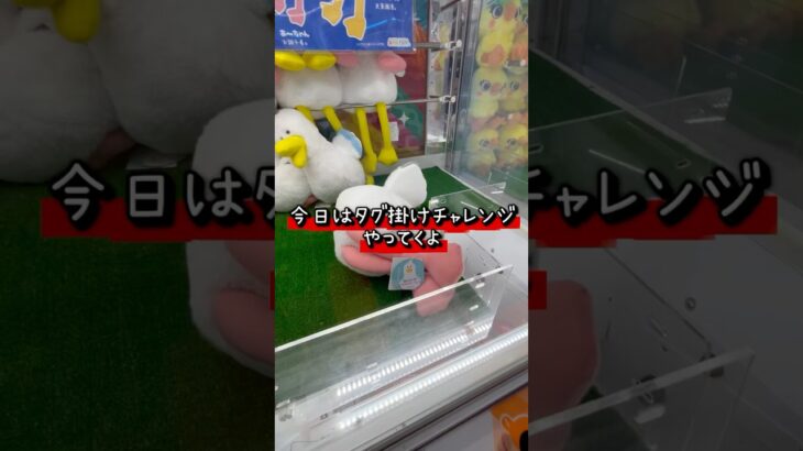 タグ掛けチャレンジ成功しても取れない景品多々あります #クレーンゲーム #プライズ獲得 #ゲームセンター #ゲーセン #ufoキャッチャー #ぬいぐるみ