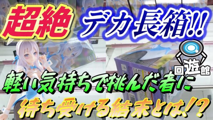 【クレーンゲーム】超絶デカ＆長箱登場‼激闘の果てに待ち受ける光景とは⁉#ufoキャッチャー #クレーンゲーム  #フィギュア #プライズ #回遊館#倉庫系#ゲームセンター#お菓子