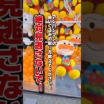 【 クレーンゲーム 】ぬいぐるみの取り方教えて！リクエストお応えします！#クレーンゲーム#ufoキャッチャー #ゲームセンター