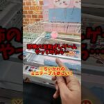 【 クレーンゲーム 】恐怖の玉転がしゲーム！ちいかわのテーブル欲しくてやってみたら…。#クレーンゲーム#ufoキャッチャー #ゲームセンター